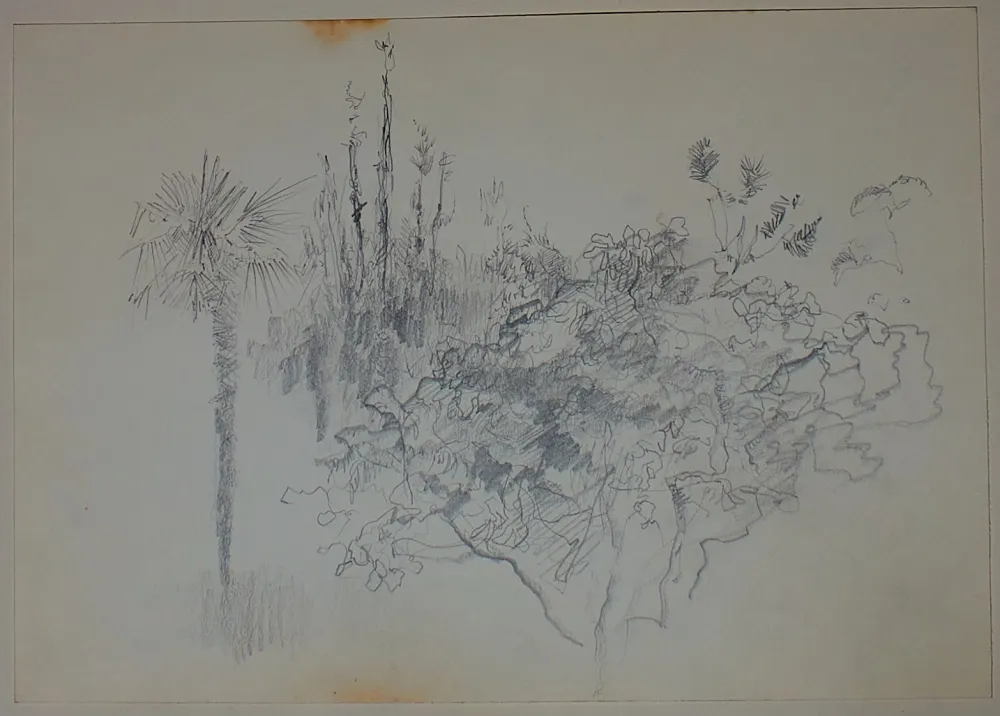 技術的なありません Pastor - Etude