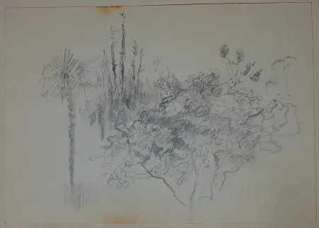 技術的なありません Pastor - Etude