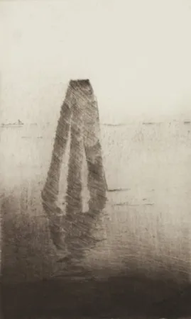 多数の Paul P - Boia