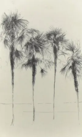 多数の Paul P - Palmeres