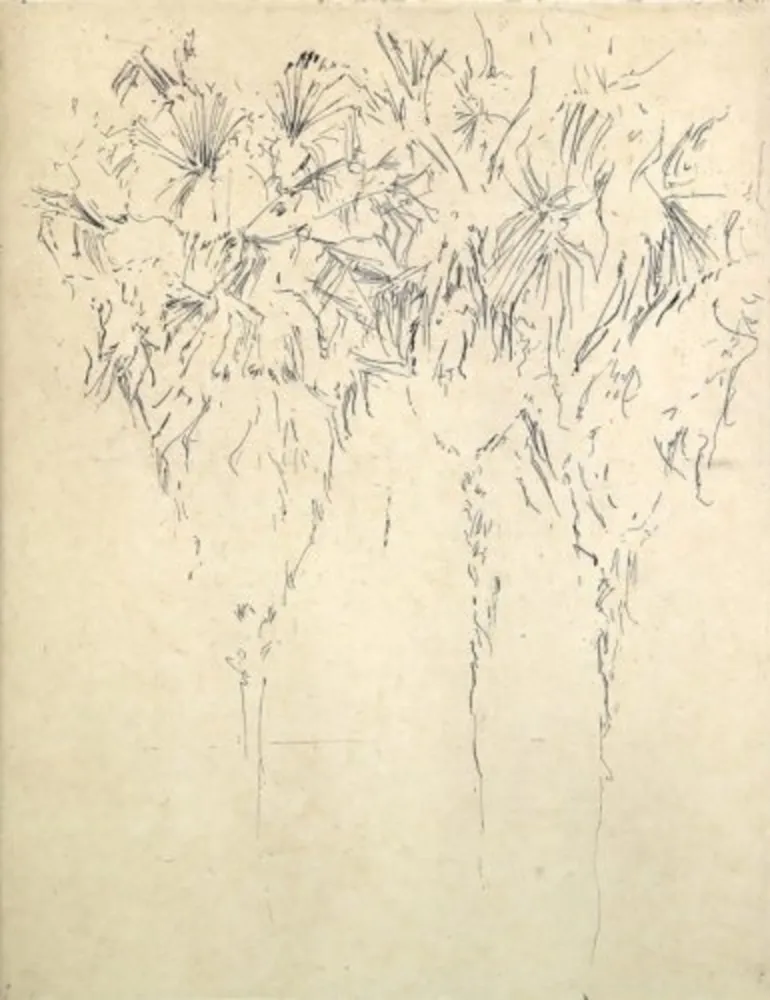 多数の Paul P - Tres palmeres