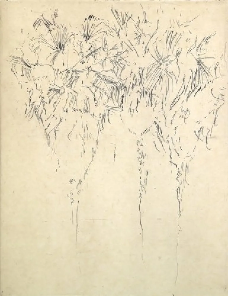 彫版 Paul P - Tres palmeres