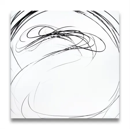 技術的なありません Peerna - Maelstrom Series 67