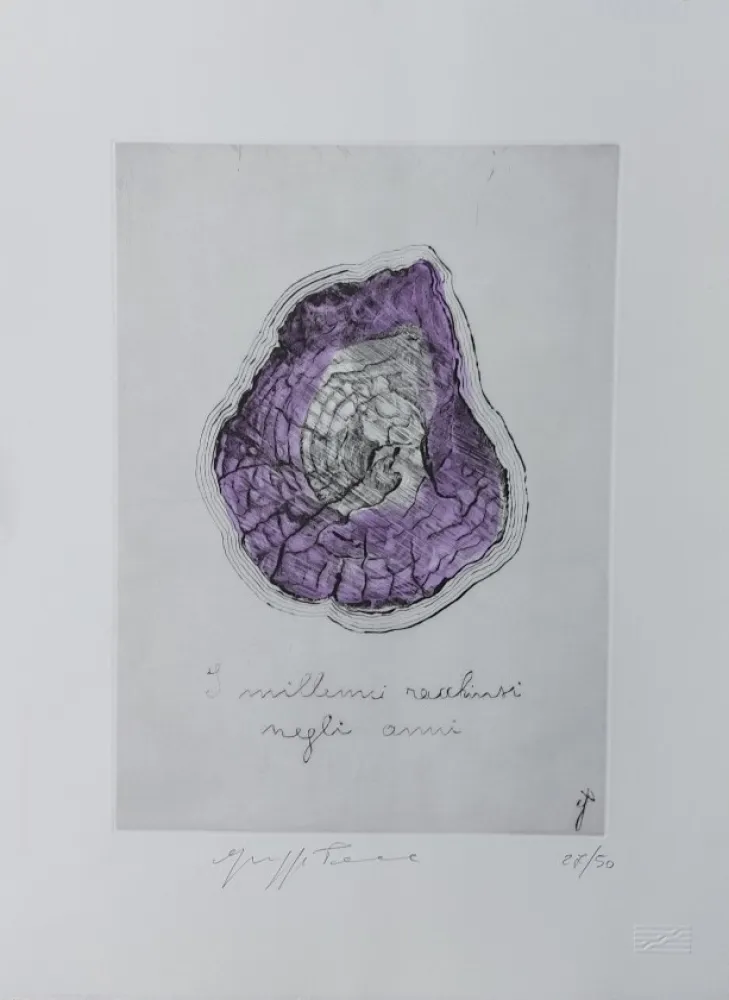 デジタル版画 Penone - Coupe trtronc d arbre 