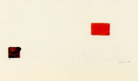 リトグラフ Perejaume - El bosc a casa-3