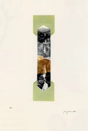 リトグラフ Perejaume - El bosc a casa-4