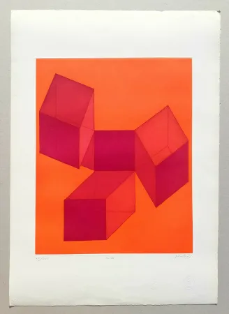 アクチアント Perilli - Hink