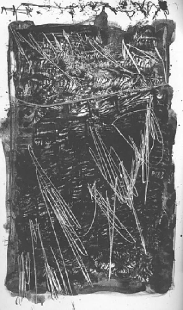 挿絵入り本 Perilli - Theatrum Sanitatis