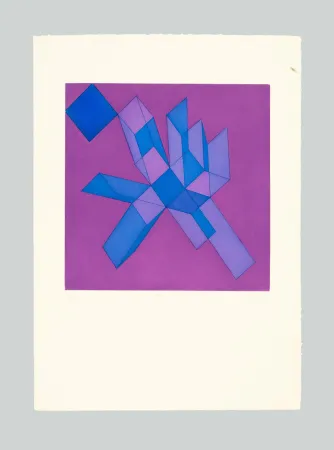 エッチングと　アクチアント Perilli - Viodra