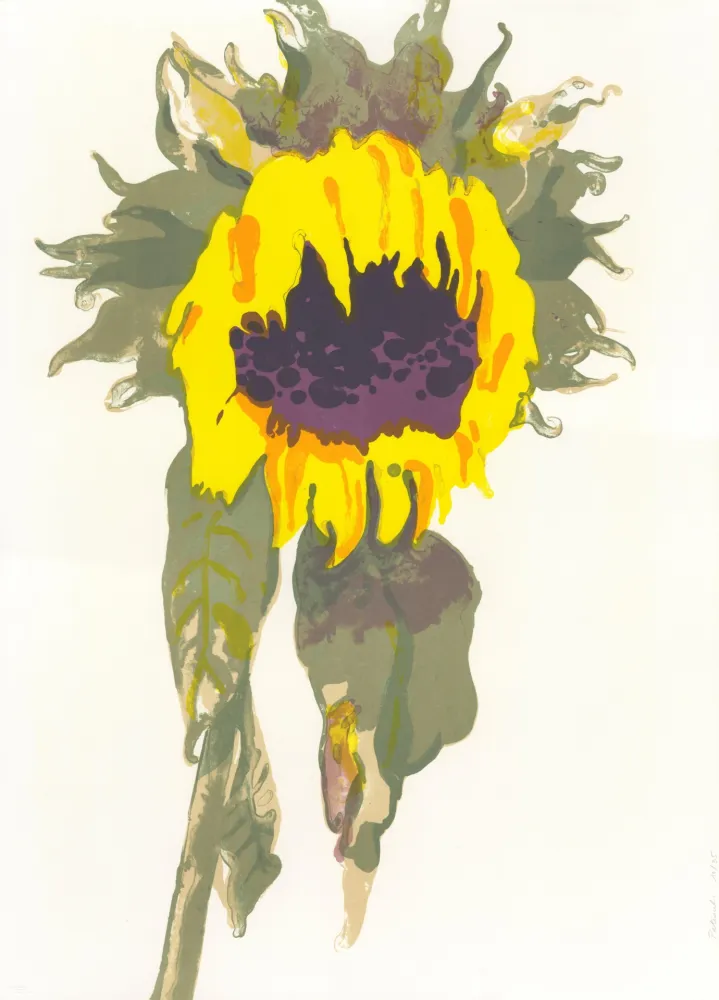 リトグラフ Pétrovitch - Soleil