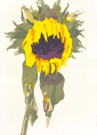 リトグラフ Pétrovitch - Soleil