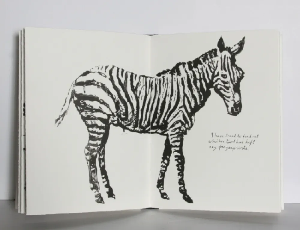 挿絵入り本 Pettibon - Plots on Loan