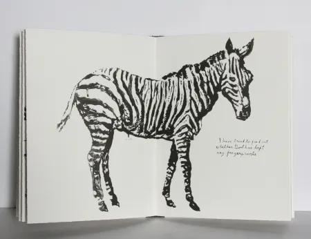 挿絵入り本 Pettibon - Plots on Loan