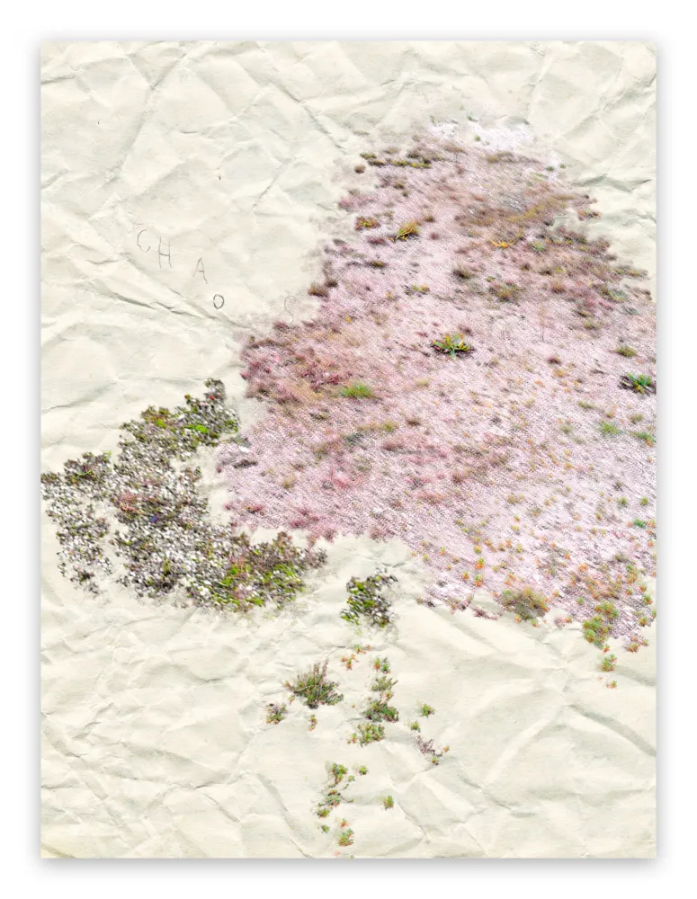 写真 Pezzot - I. Anthropological Purity