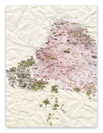 写真 Pezzot - I. Anthropological Purity