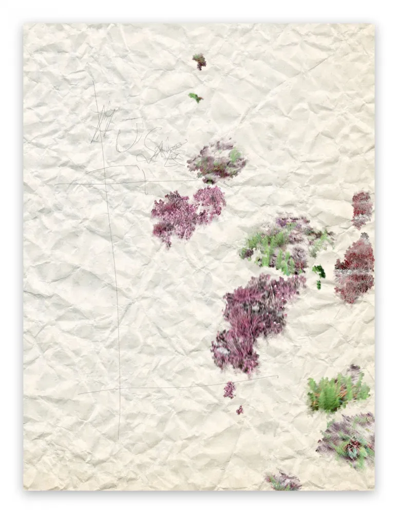 写真 Pezzot - II. Marvellous Unconsciousness