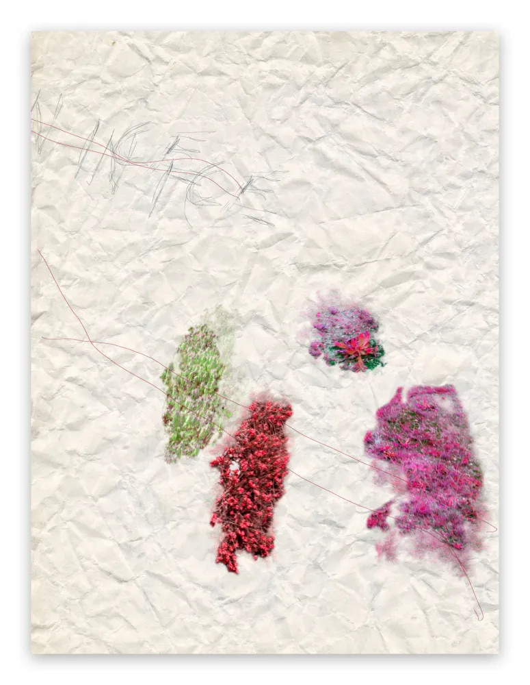 写真 Pezzot - IV. Nice