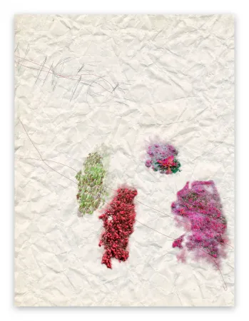 写真 Pezzot - IV. Nice