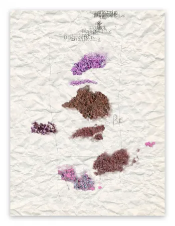 写真 Pezzot - V. Dogmatic Thinking