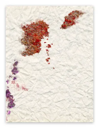 写真 Pezzot - VII: Istinto Primordiale