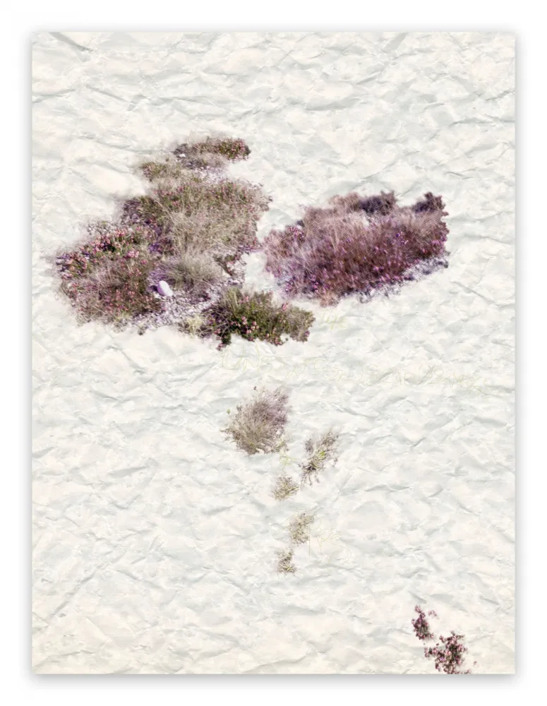 写真 Pezzot - VIII: The Unselfconsciousness Of Eros