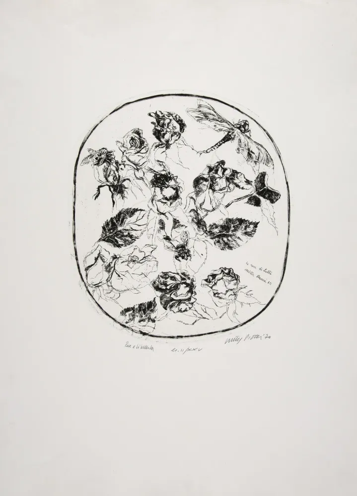 エッチング Piacesi - Rose e libellula