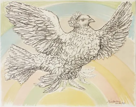 リトグラフ Picasso - Colombe à l'Arc en Ciel
