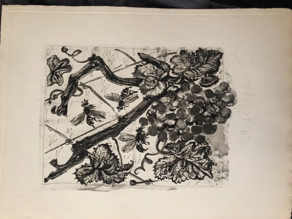 アクチアント Picasso - La guêpe