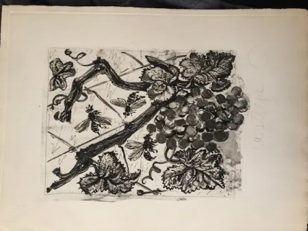 アクチアント Picasso - La guêpe