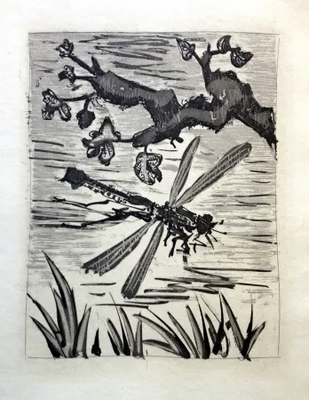 エッチングと　アクチアント Picasso - LA LIBELLULE