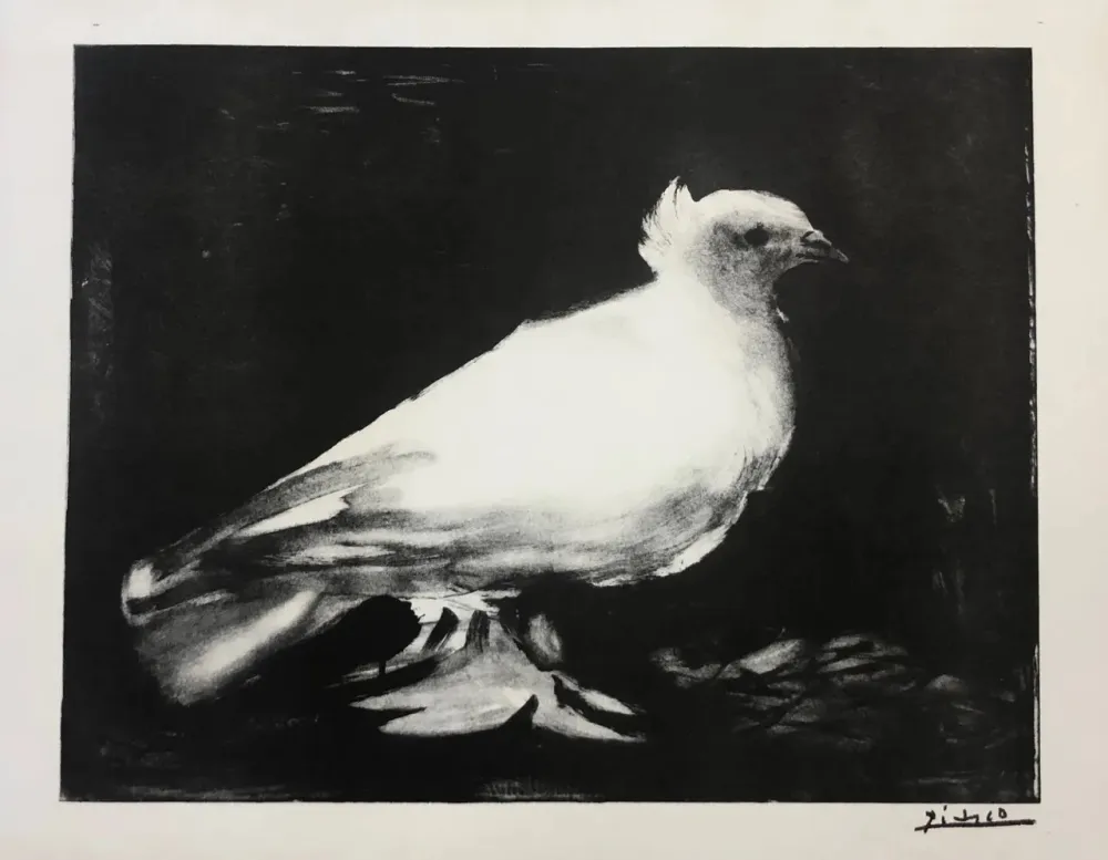 リトグラフ Picasso - La petite Colombe
