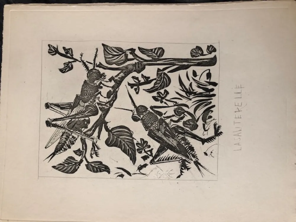 アクチアント Picasso - La sauterelle