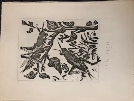 アクチアント Picasso - La sauterelle
