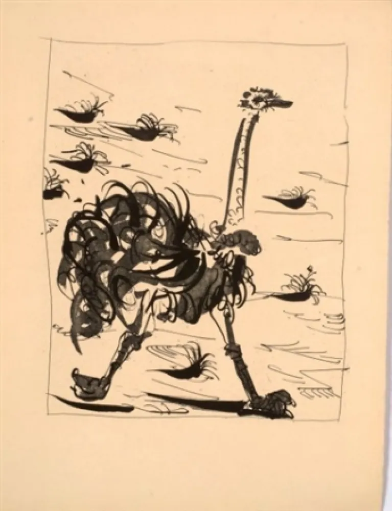 アクチアント Picasso - L'autruche