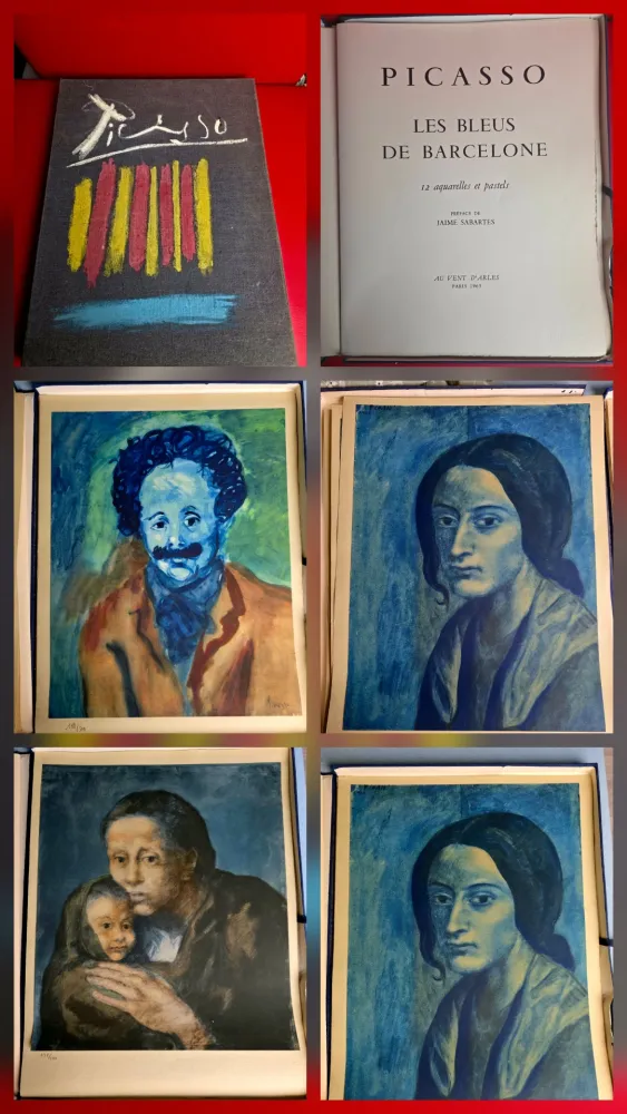 ステンシル Picasso - Le Bleus de Barcelone- Incomplete 