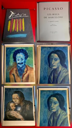 ステンシル Picasso - Le Bleus de Barcelone- Incomplete 