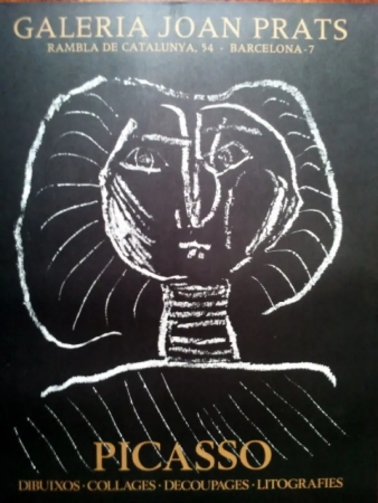 掲示 Picasso - S/T