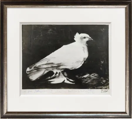 写真 Picasso - The Dove of Peace