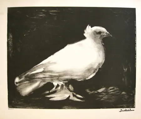 リトグラフ Picasso - XXème anniversaire, mouvement de la paix (before lettering)