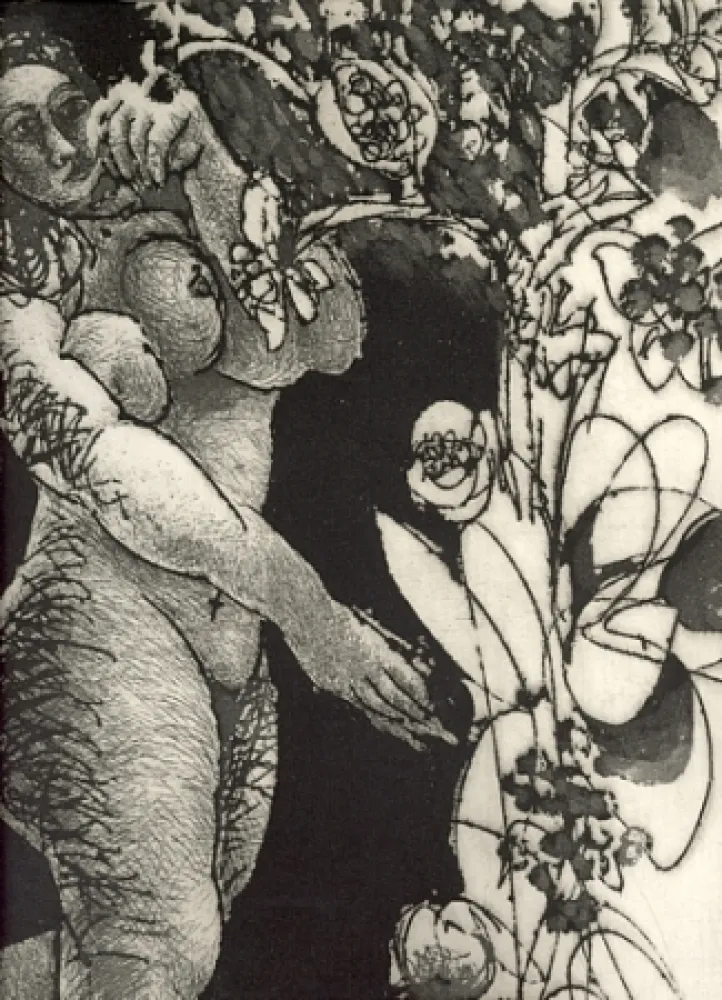 挿絵入り本 Pignateli - Controra