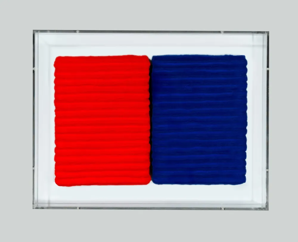 技術的なありません Pinelli - Pittura R. BL