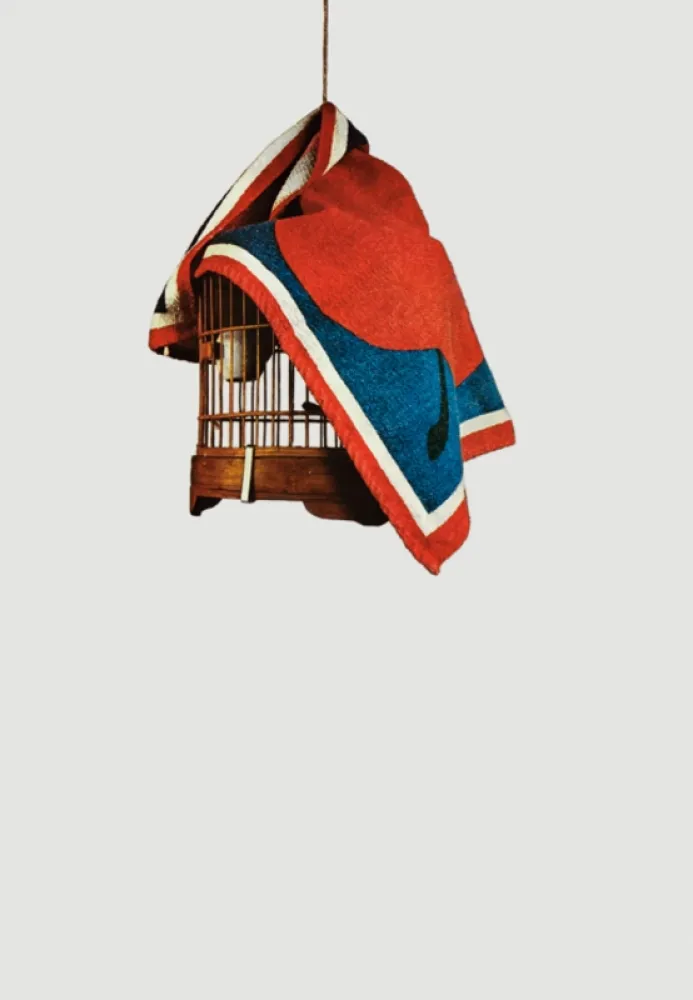 シルクスクリーン Pistoletto - La gabbietta