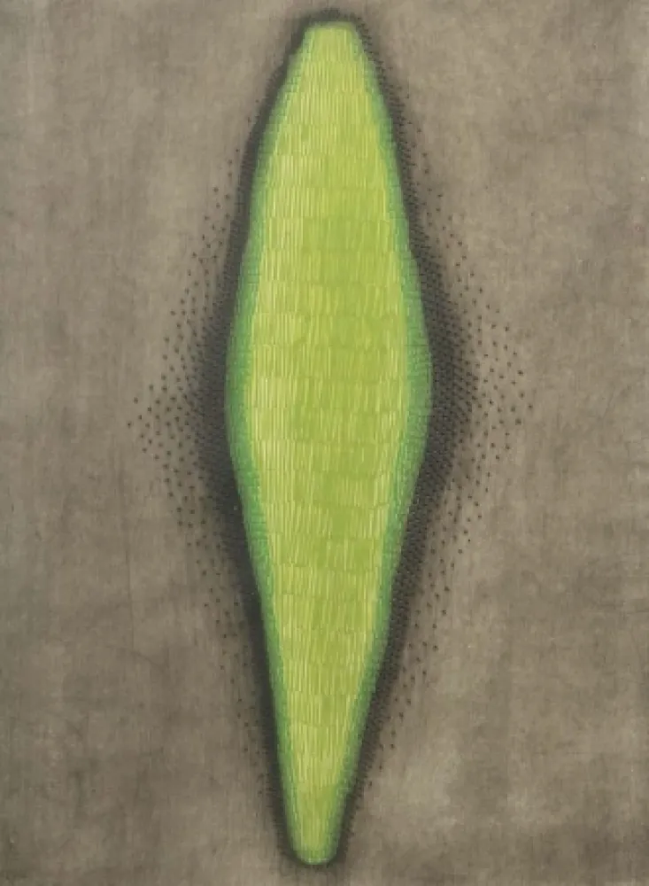 アクチアント Piza - Sans titre