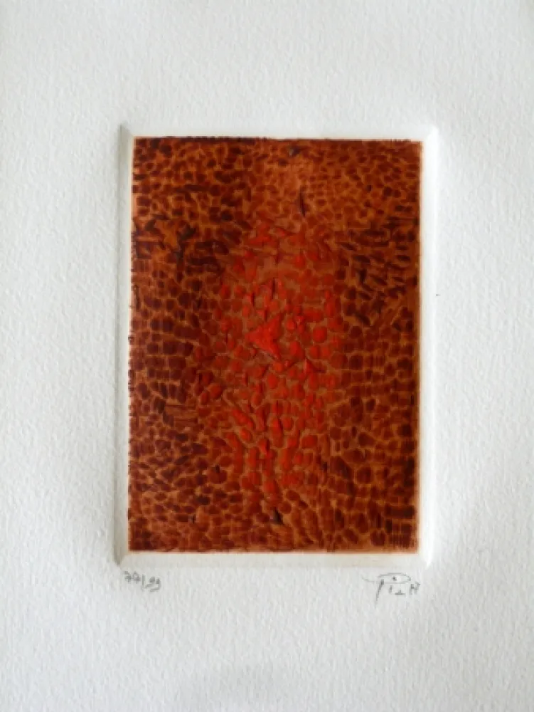 エッチングと　アクチアント Piza - Terre brulée