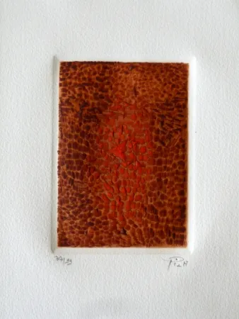 エッチングと　アクチアント Piza - Terre brulée