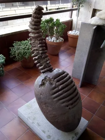 技術的なありません Plensa - Cap - Teté