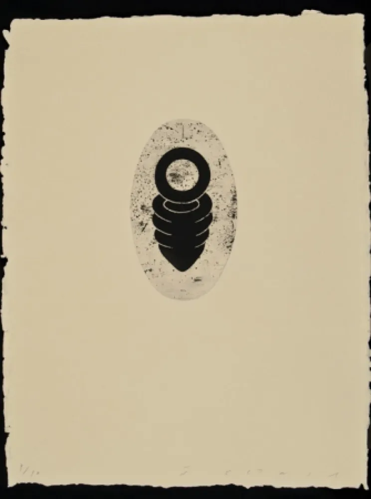 エッチングと　アクチアント Plensa - Suite Li