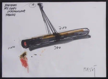 技術的なありません Plessi - PROGETTO PER VIDEO INSTALLAZIONE TRONCO