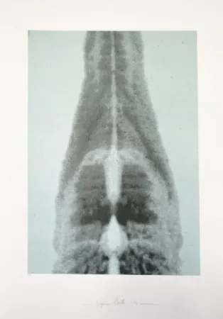 多数の Polke - Untitled (Columbus In Search of a New Tomorrow)