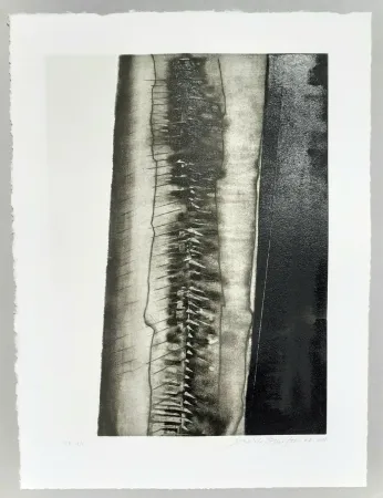 アクチアント Pomodoro - Composizione